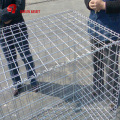 PVC Coated Welded Gabion Basket with size 2x1x1m